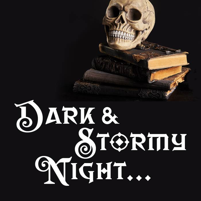 Dark and Stormy Night logo