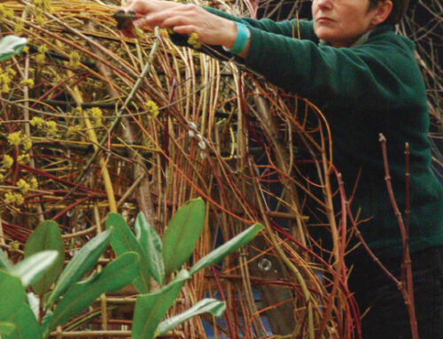 Weaving Nature’s Bounty: The Sustainable Artistry of Judy Zugish