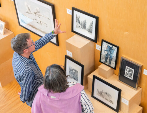 Expressions in Line and Color: Photos of an Exhibition