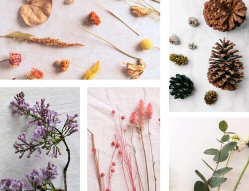 Are You Ready to Flourish?