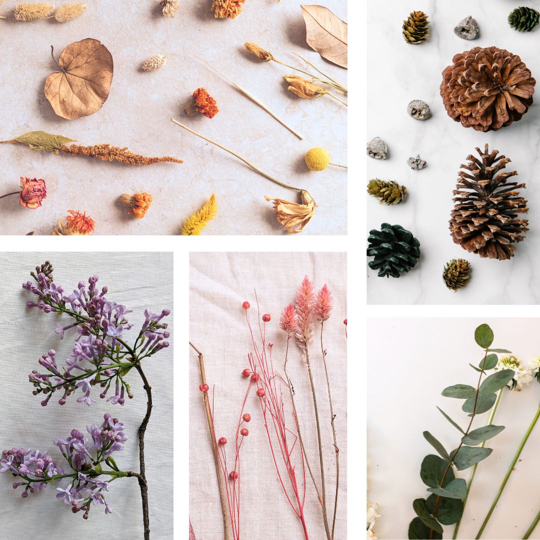 Inspirational images of botanicals for the 2025 Jewelry Flourish challenge.