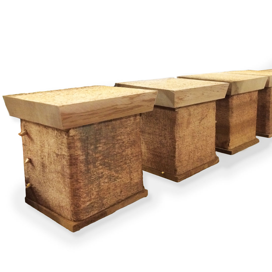 Bentwood boxes by Randi Purser