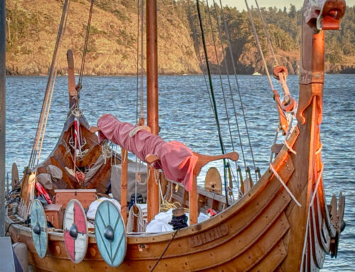 Viking Ship Field Trip