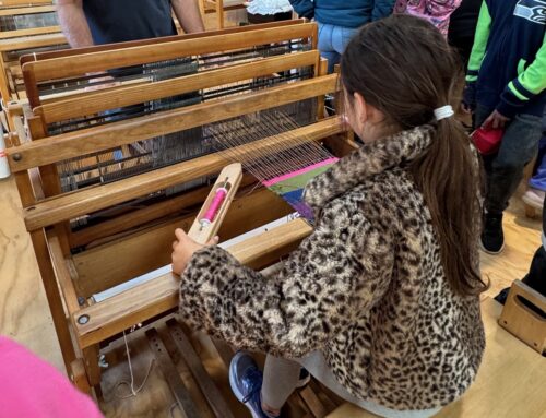Fiber Arts: Ordway 3rd Graders Discover the Magic of Weaving