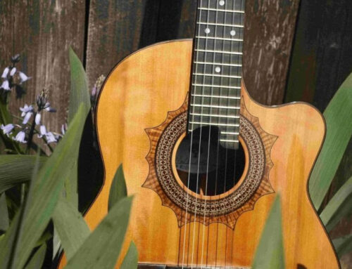 Woodworkers’ Monthly Presentation: Master Luthier Neil Miller