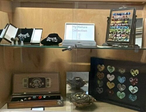 Welcoming Anna Nardelli as Stained Glass Coordinator