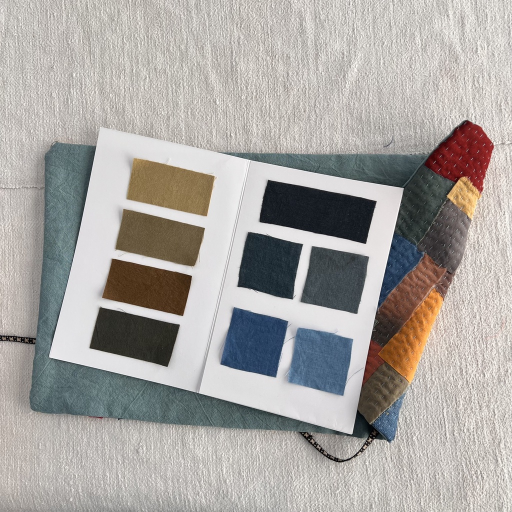 Traveling Dyer's Journal
